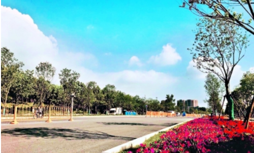 W020190604375779559933 首页 | J9集团有限公司官网